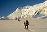 Row of Climbers on Upper Muldrow Glacier